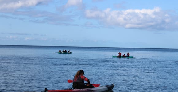 Olowalu: Guided Kayak and Snorkeling Tour - Unlimited