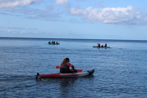 Maui: kajak kanałem Au'au i przygoda z rurką