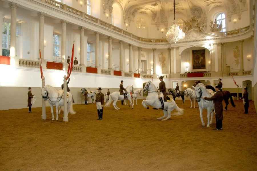 Wien: Spanische Hofreitschule – Training mit jungen Hengsten