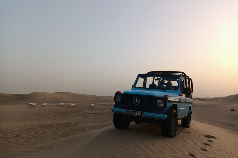 Dubai: Al Marmoom Evening Safari by Vintage Car with Meal Shared Tour