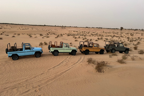 Dubai: Al Marmoom Evening Safari by Vintage Car with Meal Private Tour