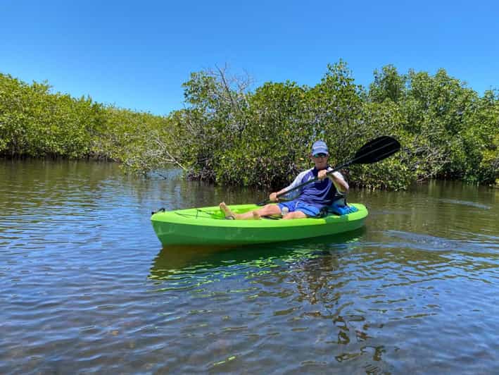 Tarpon Springs Guided Anclote River Kayaking Tour GetYourGuide