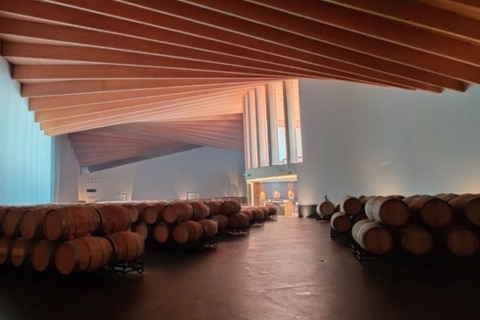 Van Bilbao: Rioja-architectuur- en wijntourVan Bilbao: Rioja Architectuur en Wijn Groepstour
