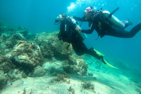 Paraty: Esperienza di immersione subacquea alla scoperta dei principiantiParaty: Discovery Scuba Diving Experience per principianti