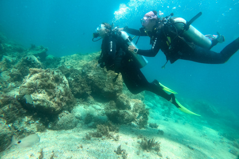 Paraty: Experiencia de buceo de descubrimiento para principiantes