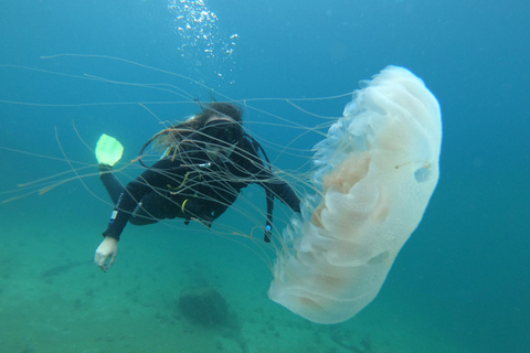 Paraty: Experiencia de buceo de descubrimiento para principiantes