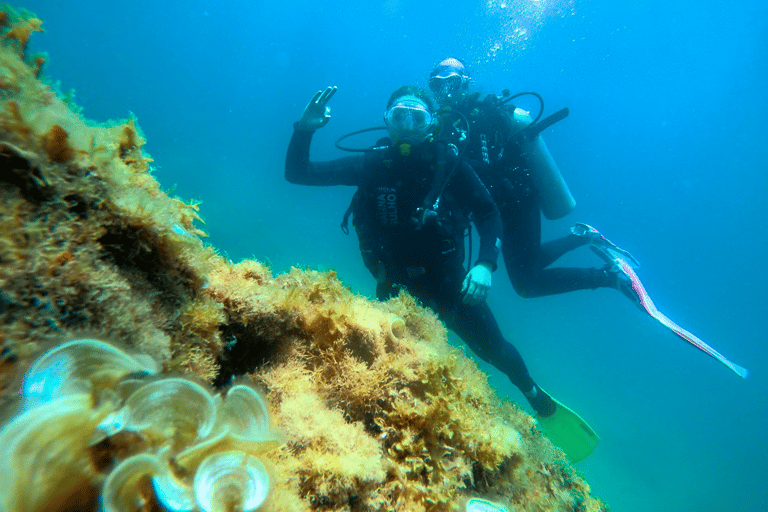 Paraty: Esperienza di immersione subacquea alla scoperta dei principiantiParaty: Discovery Scuba Diving Experience per principianti