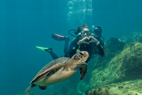 Paraty: Esperienza di immersione subacquea alla scoperta dei principiantiParaty: Discovery Scuba Diving Experience per principianti