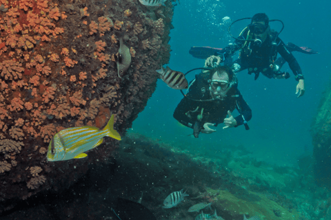 Paraty: Odkryj nurkowanie dla początkującychParaty: Discovery Scuba Diving Experience dla początkujących