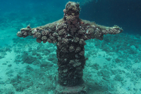 Paraty: Experiencia de buceo de descubrimiento para principiantes