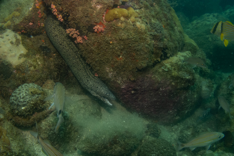 Paraty: Experiencia de buceo de descubrimiento para principiantes