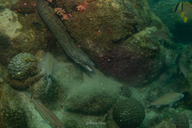 Paraty: Experiencia de buceo de descubrimiento para principiantes