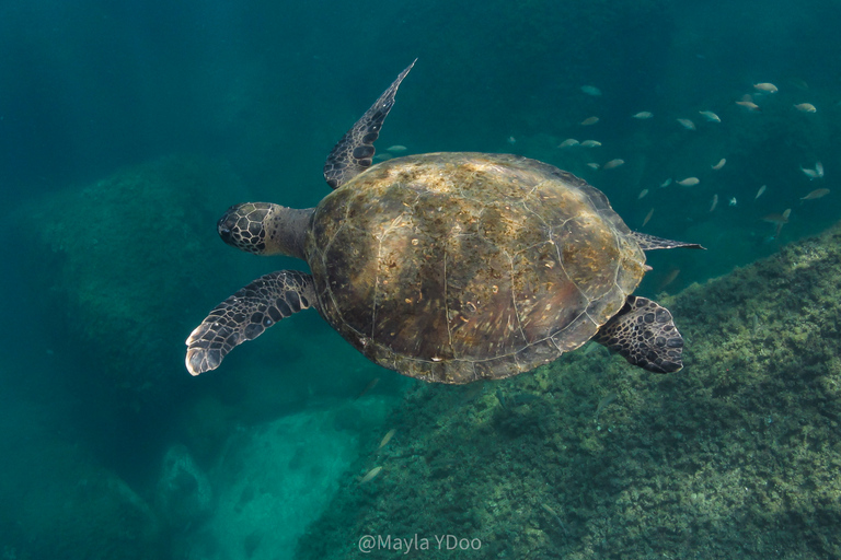 Paraty: Experiencia de buceo de descubrimiento para principiantes