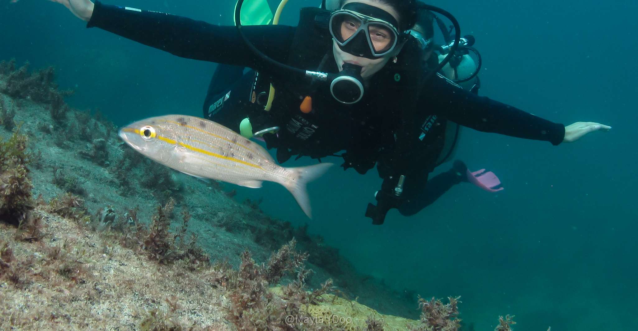 Paraty, Discovery Scuba Diving Experience for Beginners - Hizvo
