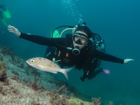 Paraty, Discovery Scuba Diving Erfahrung für Anfänger - Hizvo