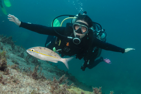 Paraty: Experiencia de buceo de descubrimiento para principiantes