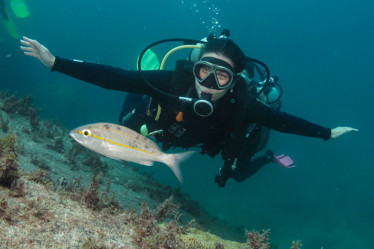 Paraty: Esperienza di immersione subacquea alla scoperta dei principiantiParaty: Discovery Scuba Diving Experience per principianti