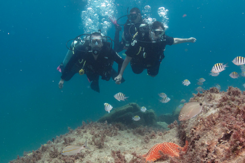 Paraty: Odkryj nurkowanie dla początkującychParaty: Discovery Scuba Diving Experience dla początkujących