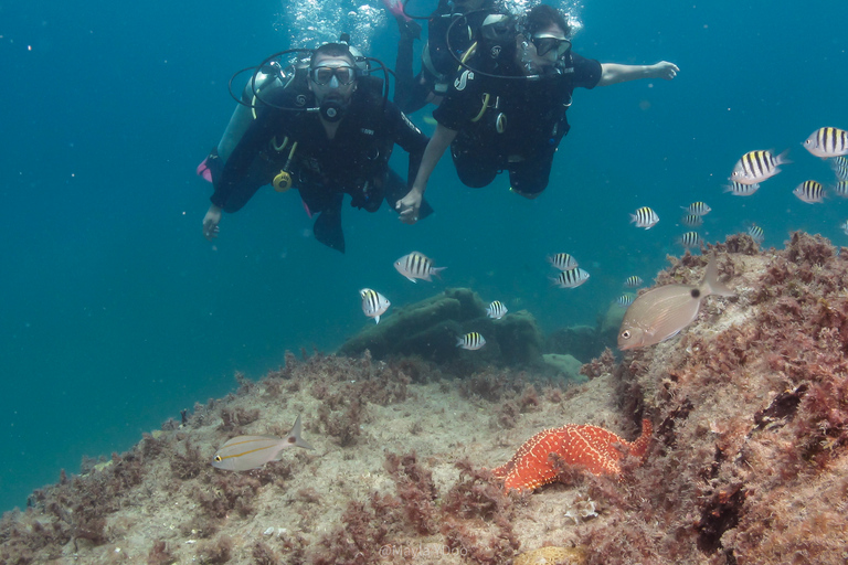 Paraty: Experiencia de buceo de descubrimiento para principiantes