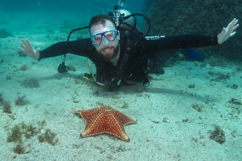 Paraty: Odkryj nurkowanie dla początkującychParaty: Discovery Scuba Diving Experience dla początkujących