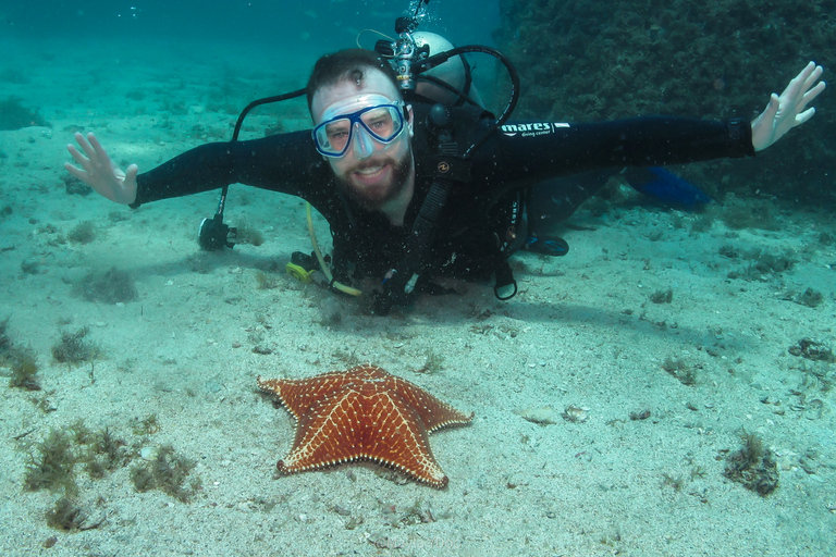 Paraty: Esperienza di immersione subacquea alla scoperta dei principiantiParaty: Discovery Scuba Diving Experience per principianti