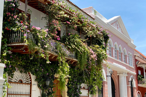 Cartagena: Stadtrundfahrt und KaffeeverkostungStadtrundfahrt durch Cartagena und Kaffeeverkostung