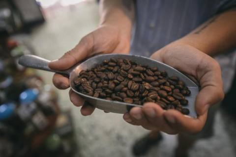 Cartagena: Geschichte des Kaffees und Zubereitung