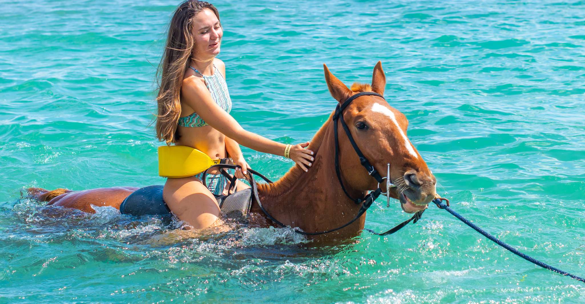 De Montego Bay ou Negril, Chukka Horseback Ride et natation - Hizvo