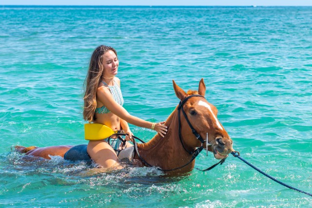 Visit From Montego Bay or Negril Chukka Horseback Ride and Swim in Halifax