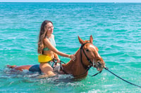 De Montego Bay ou Negril, Chukka Horseback Ride et natation - Hizvo