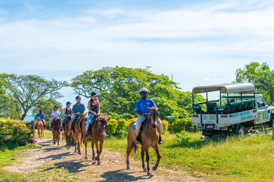 From Montego Bay or Negril: Chukka Horseback Ride and Swim