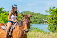 De Montego Bay ou Negril, Chukka Horseback Ride et natation - Hizvo