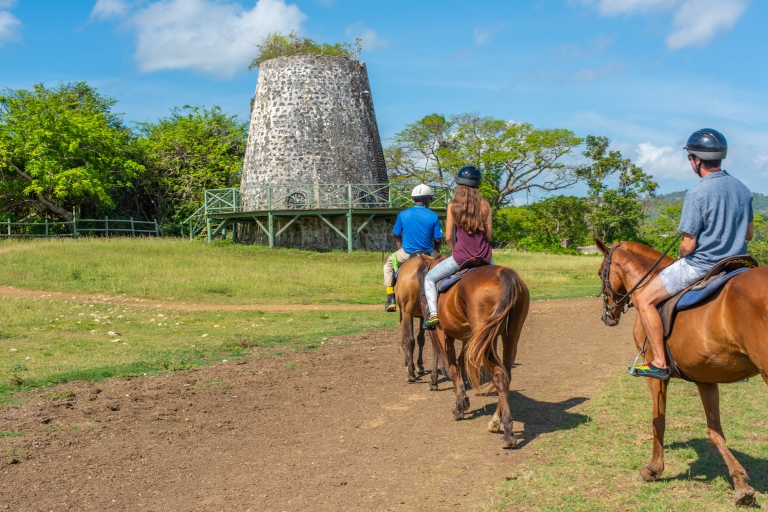 Desde Bahía Montego y Negril: paseo a caballo y baño