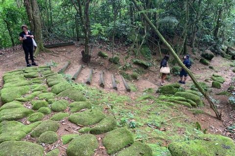 Paraty: wandeltocht door het Gold Trail-regenwoud