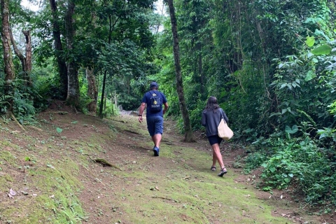 Paraty: Gold Trail Rainforest Hiking Tour