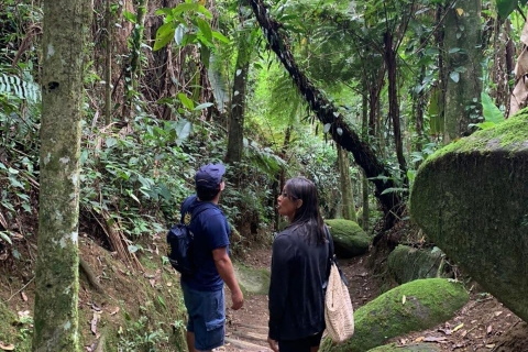 Paraty: Gold Trail Rainforest Hiking Tour