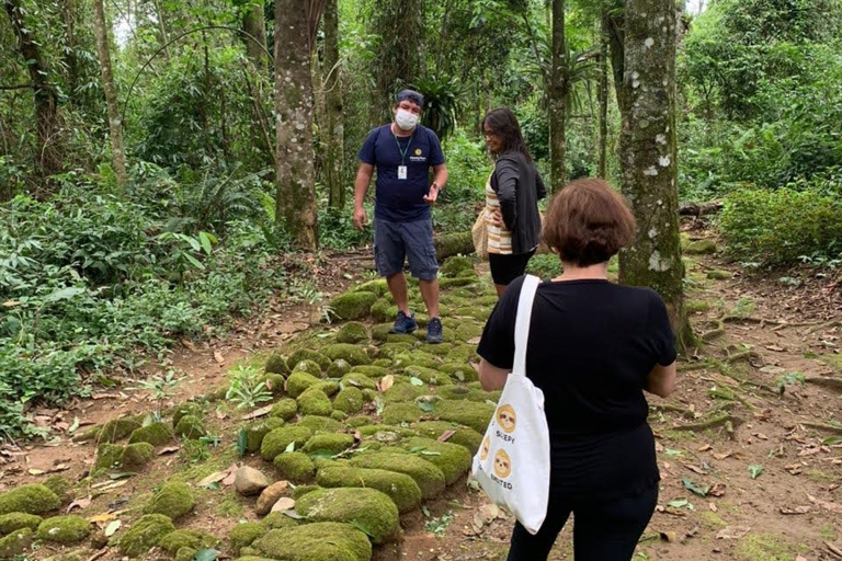 Paraty: wycieczka piesza po lesie deszczowym Złotym Szlakiem