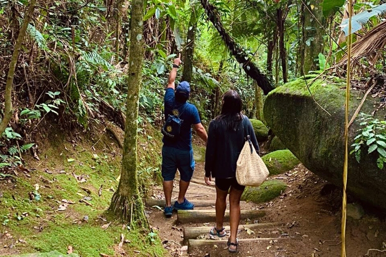 Paraty: randonnée pédestre dans la forêt tropicale du sentier de l'or
