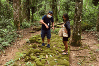 Paraty, Gold Trail Regenwald Wandertour - Hizvo