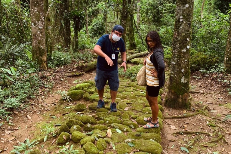 Paraty: tour de senderismo por la selva tropical de Gold Trail