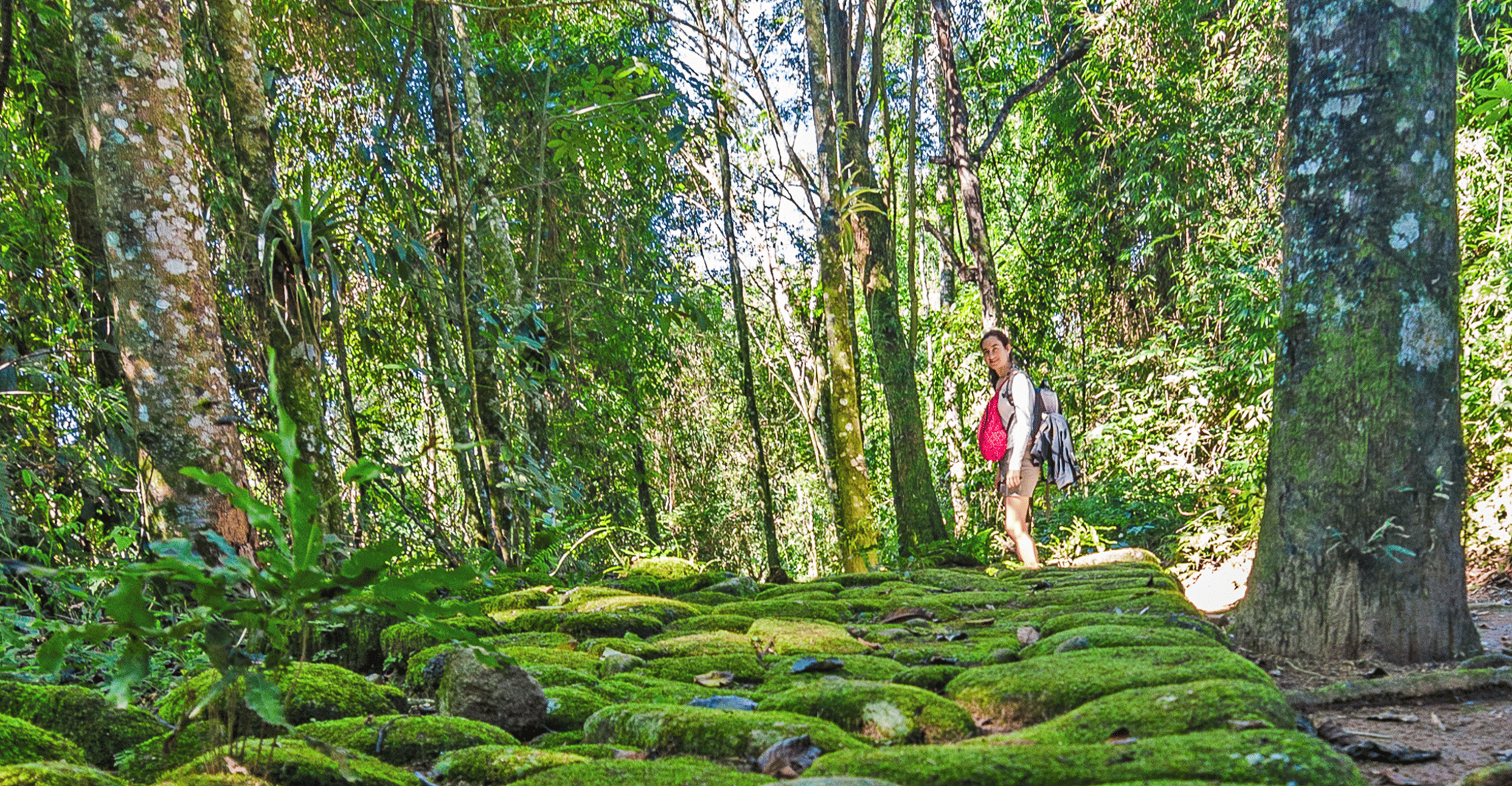 Paraty, Gold Trail Regenwald Wandertour - Hizvo