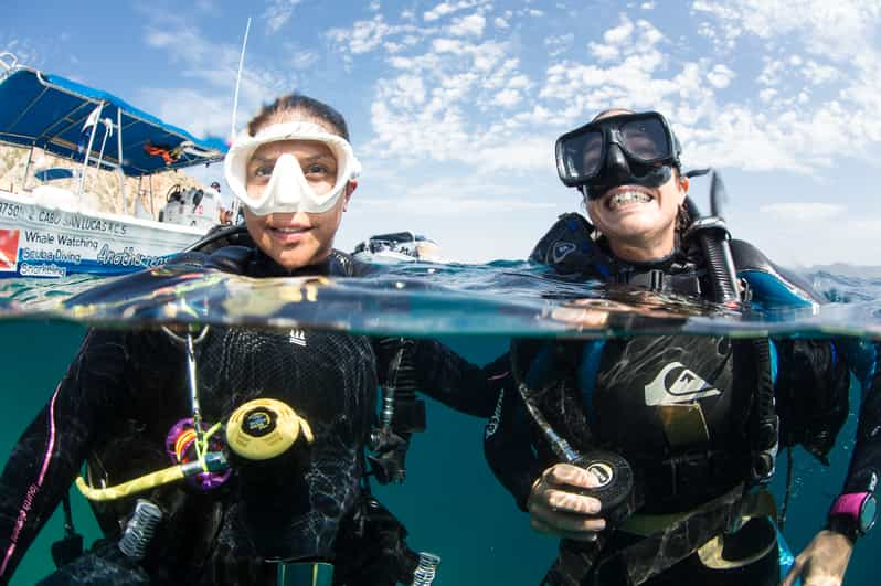 Cabo San Lucas: Scuba Diving with Drinks | GetYourGuide