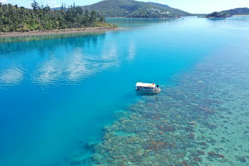 Airlie Beach: Glass-Bottom Boat Tour | GetYourGuide