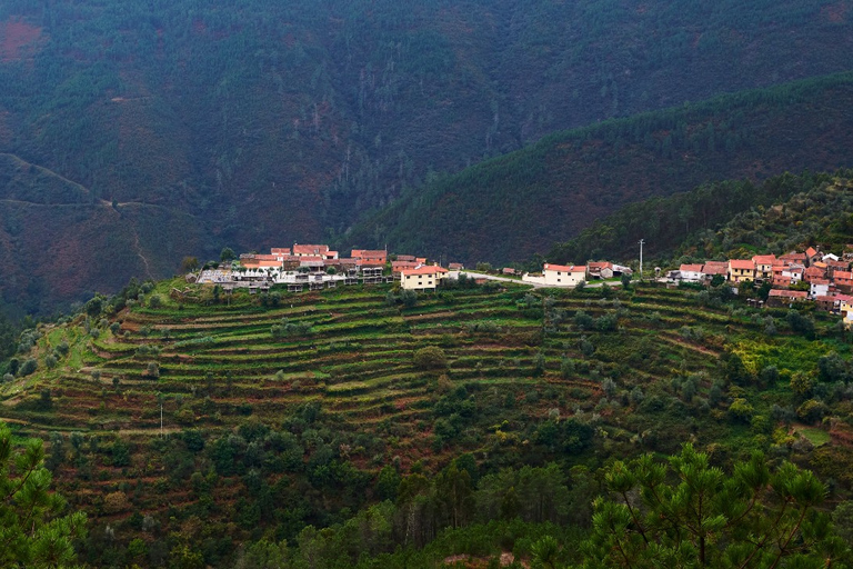 Z Porto: prywatna jednodniowa wycieczka do Geoparku Arouca i mostu 516