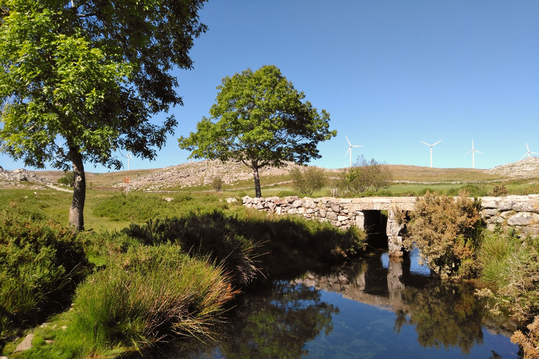 Z Porto: prywatna jednodniowa wycieczka do Geoparku Arouca i mostu 516