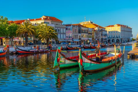 From Porto: Aveiro Private Guided Day Trip