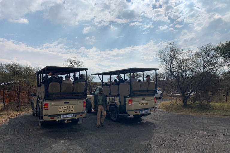 South Africa: Big 5 Game Reserve Conservation Volunteering