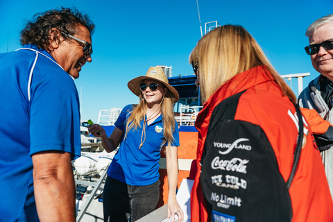 Excursión de 2,5 horas de avistamiento de ballenas Spirit of Gold Coast