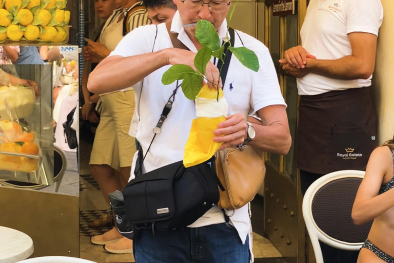 Rome: Pompeii & Amalfi Coast Day Trip, Skip-the-Line POMPEII ONLY Day Experience – No Amalfi Coast Included