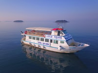 VRSAR, Dolphin Regarder la visite en bateau, y compris les boissons - Housity